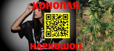 гидра Лесосибирск