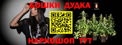 гидра Лесосибирск