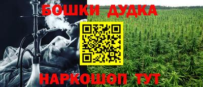 гашик Ликино-Дулёво