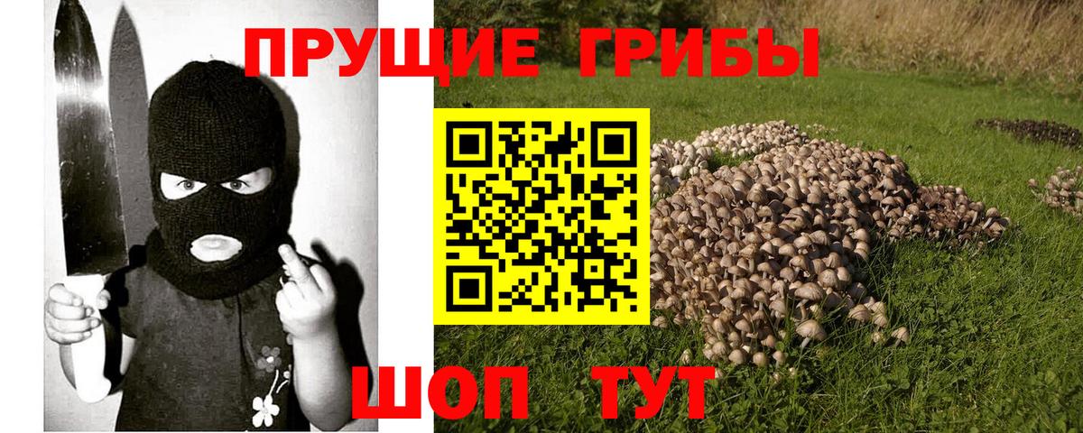 ГАШ  Вход с VPN  НБОМе  Горячий Ключ  МЕФ  