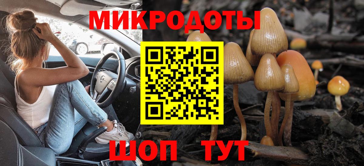 Псилоцибиновые грибы прущие грибы Горячий Ключ