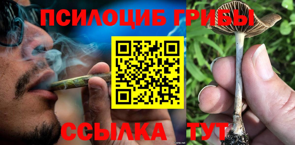 Галлюциногенные грибы Cubensis  Псилоцибиновые грибы ЛСД  Горячий Ключ  Вход с VPN 